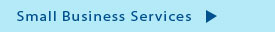 small business consulting services